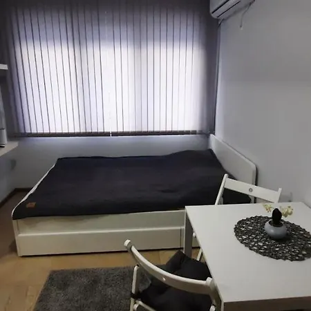 Apartment Downtown Studio *
